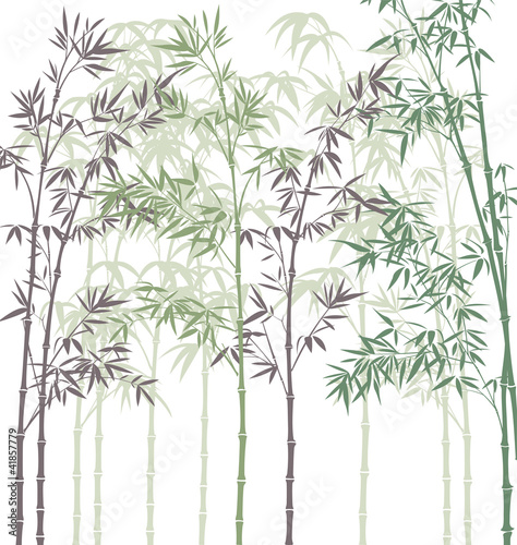 wektorowy-las-bambusowy-na-bialym-tle