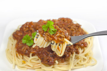 Wall Mural - pasta bolognese on fork