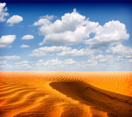 Poster - desert landscape