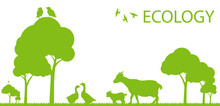 Goose And Goat Ecology Background Vector Concept Landscape