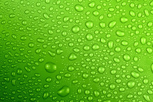 Water Drops Green