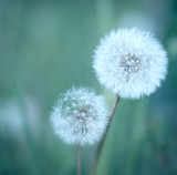 160_f_41923715_caatq3wlb6cj4jvffzqjkewvrdmv2eou