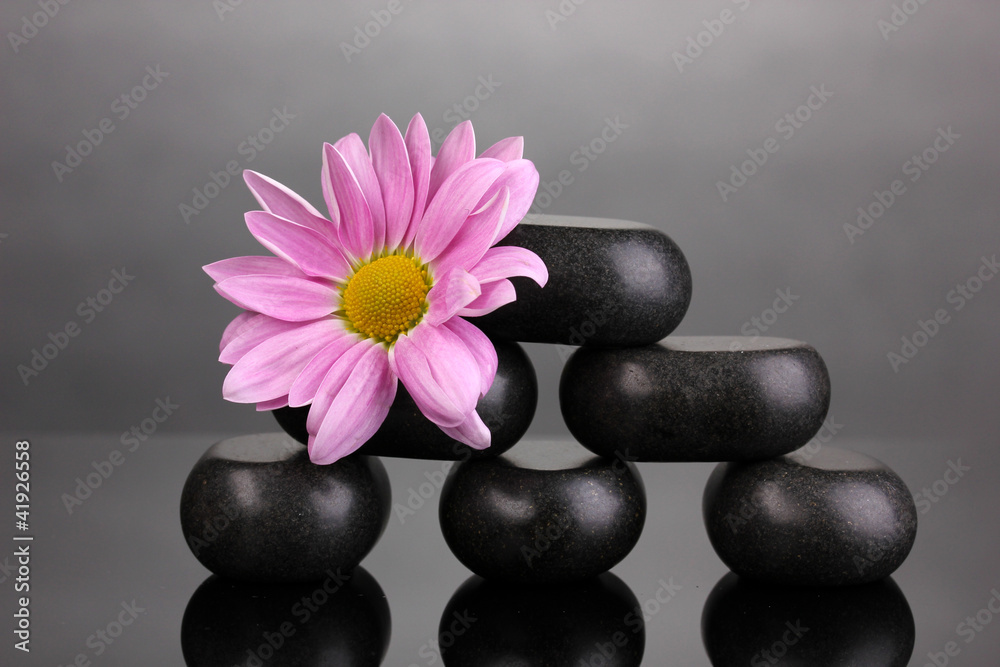 Spa stones and flower on grey background