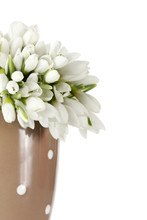 Beautiful Bouquet Of Snowdrops In Brown Vase Isolated On White