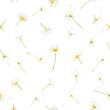 Seamless daisies
