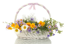 Beautiful Bouquet Of Bright  Wildflowers In Basket, Isolated