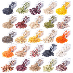 Wall Mural - different legumes are scattered on a white background