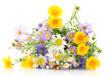 Beautiful Bouquet Of Bright  Wildflowers, Isolated On White