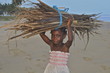 Feuerholz sammeln - Kinderarbeit in Afrika