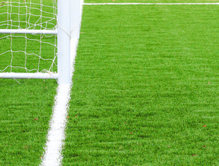 Wall Mural - soccer field grass