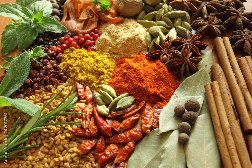 Spices and herbs - obrazy, fototapety, plakaty 