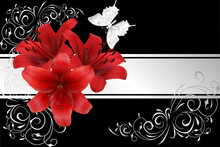 Red Lily And Silver Butterfly