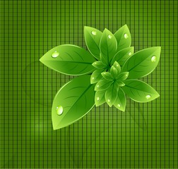 Wall Mural - abstract nature leaf eco ecology shiny line wave vector