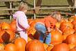 Two girls in pumpkin patch, picking pumpkins