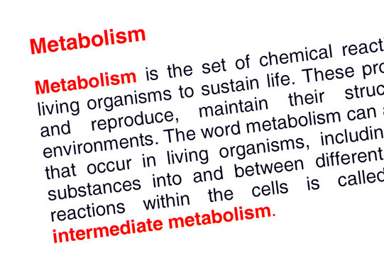 Metabolism text highlighted in red