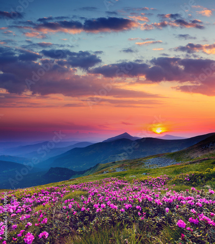 Naklejka na szybę mountain landscape