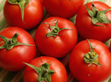 Fototapeta Kuchnia - Fresh tomatoes