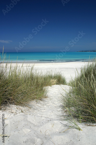 Naklejka na szybę spiagge bianche, toscana