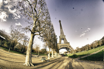 Fototapete - Colors of Eiffel Tower in Winter