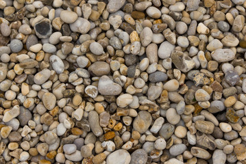 Beach pebbles