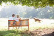 © Monkey Business - Senior couple outdoors with dog