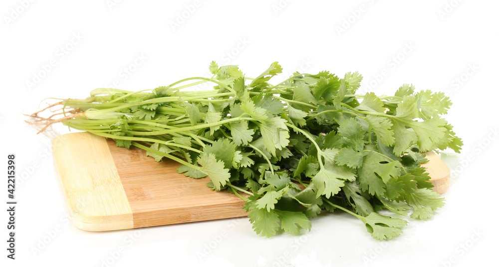 fresh coriander or cilantro on wooden board isolated on white