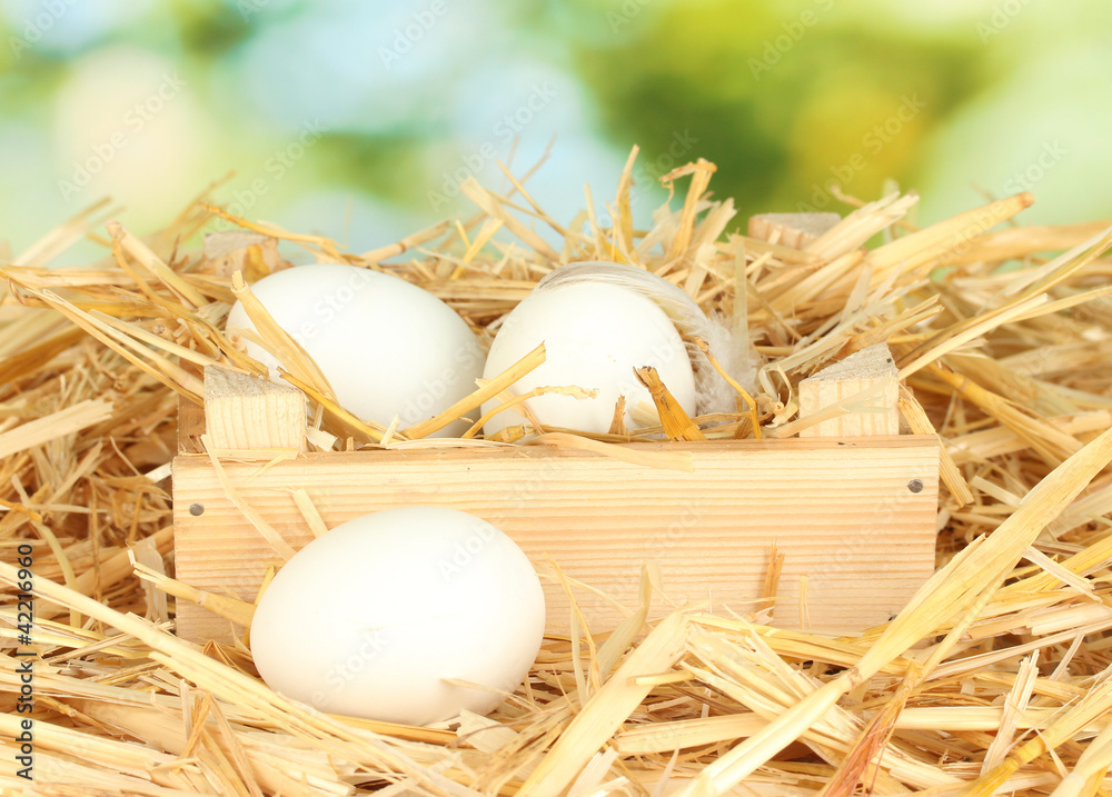 brown eggs in crate on straw on white background