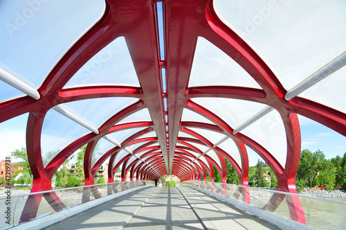 Naklejka - mata magnetyczna na lodówkę Peace Bridge