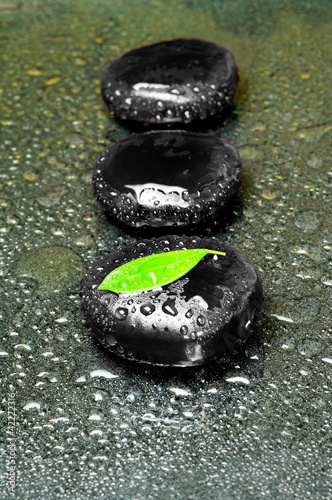 Tapeta ścienna na wymiar Zen stones and leaves with water drops