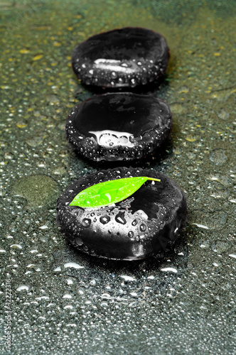 Plakat na zamówienie Zen stones and leaves with water drops