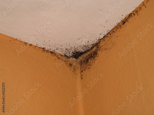 Schimmel an der Decke - Buy this stock photo and explore similar ... Schimmel an der Decke - Buy this stock photo and explore similar ...