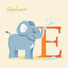 Animal Alphabet With Elephant, Vector Illustration