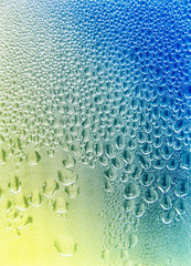 Wall Mural - Water drops on window