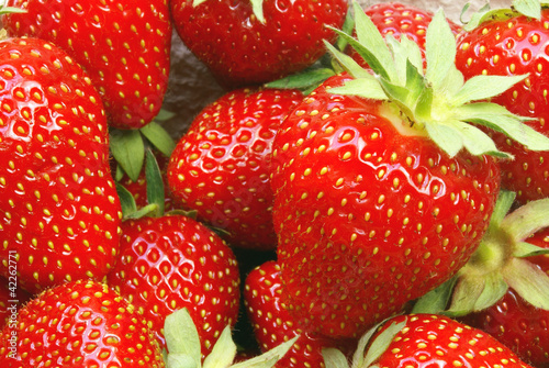Fototapeta na wymiar Erdbeeren