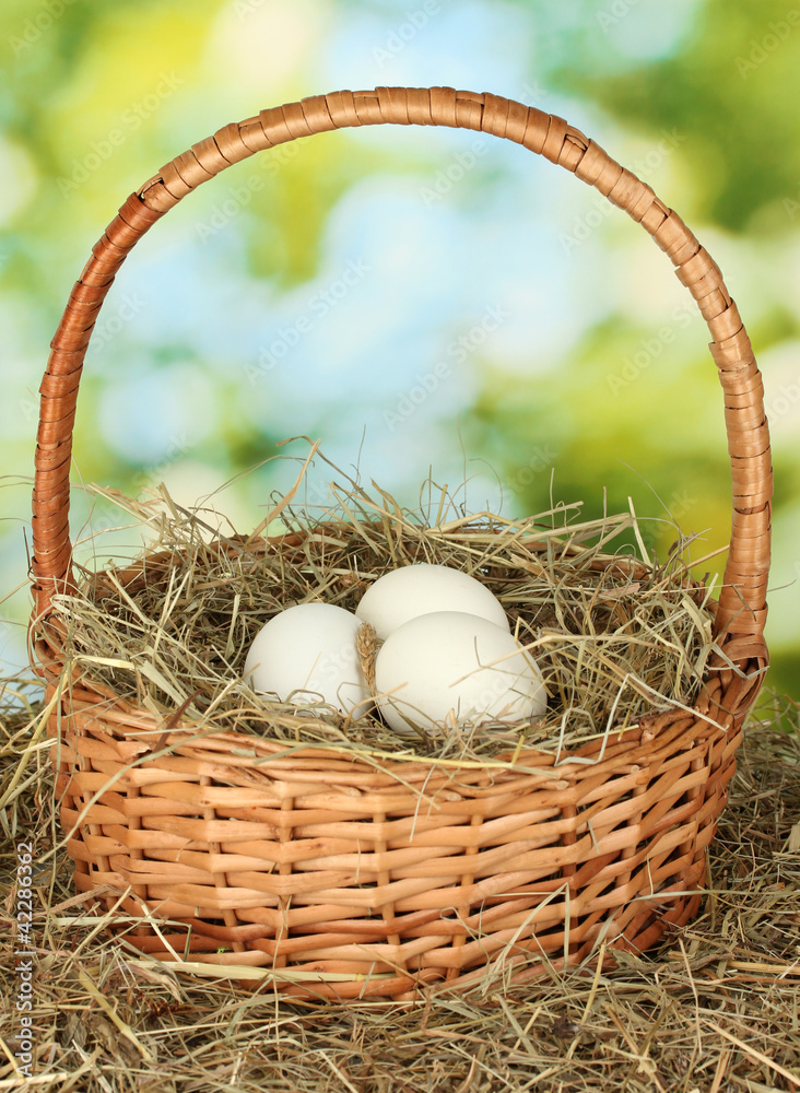 white eggs in a wicker basket on hay on green background