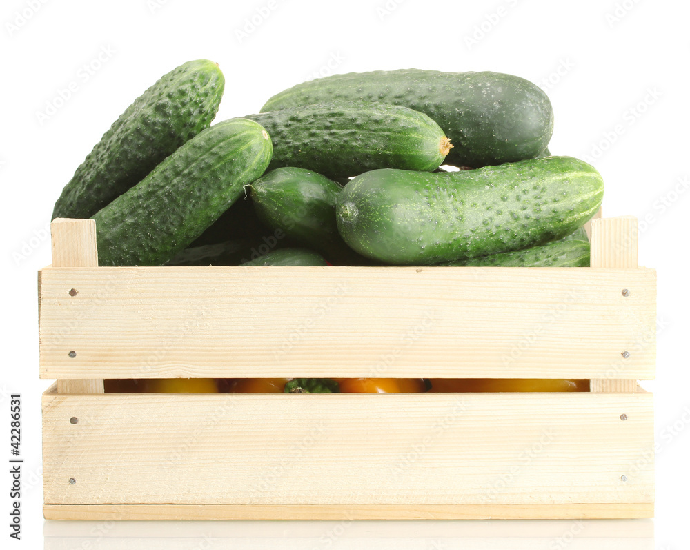 fresh cucumbers in wooden box  isolated on white