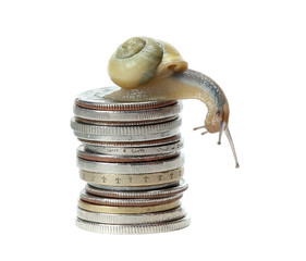 Sticker - snail on money