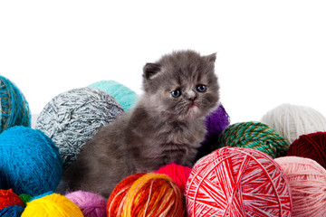 Sticker - kitten with balls of threads. little kitten on white background.