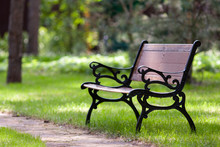 Stylish Bench In Park