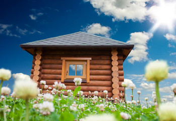 Wall Mural - Small house on flowers meadow