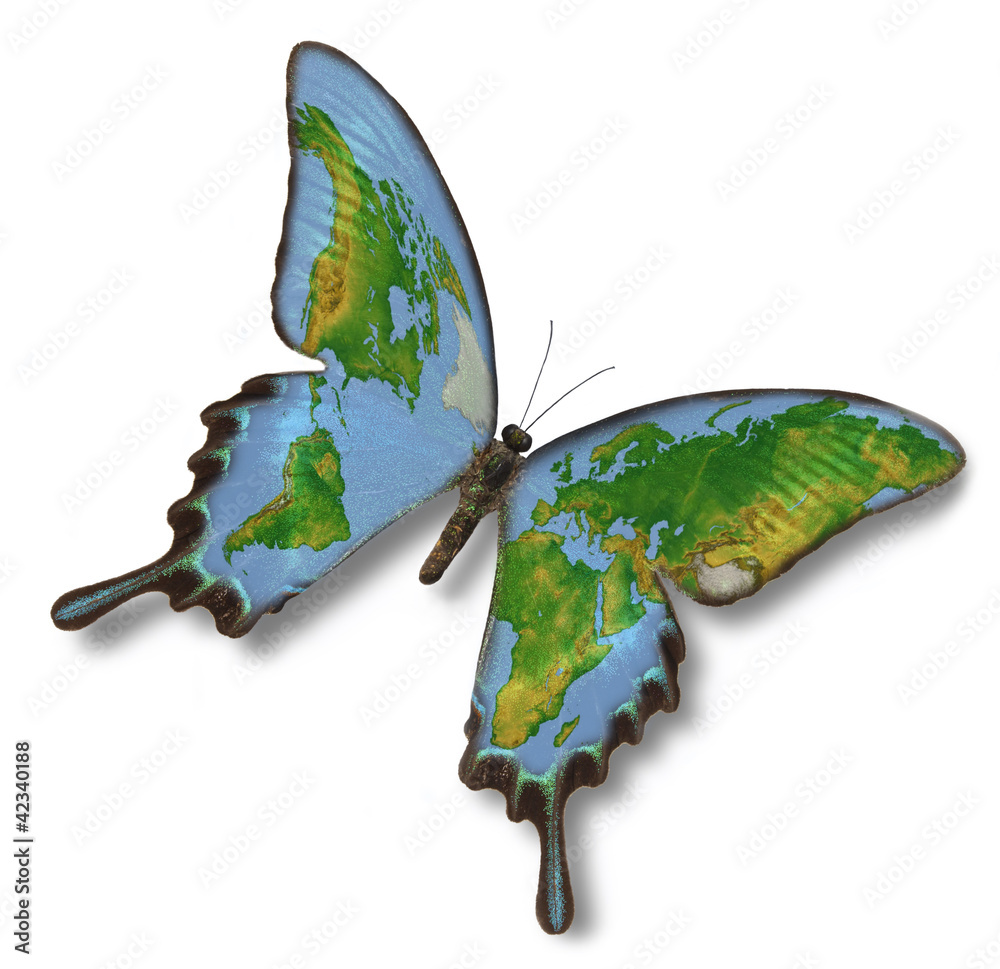 Map of Earth on butterfly Stock Illustration | Adobe Stock