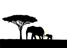 African Elephant With Baby Silhouette