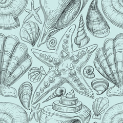 Poster - Beach seamless pattern with shells and starfish sketch