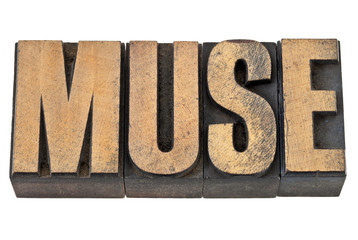 Wall Mural - muse word in wood type