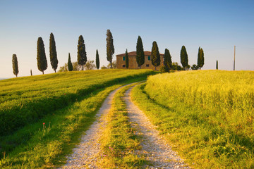 Wall Mural - Villa in Toscana con cipressi