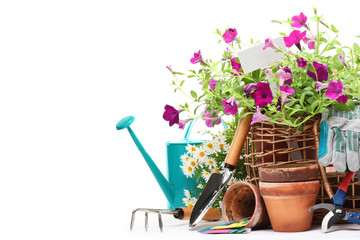 Wall Mural - Gardening tools and flowers