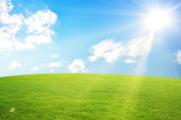 Green field and sky blue with white cloud