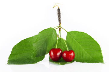 two cherries