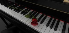 Rosa Su Pianoforte