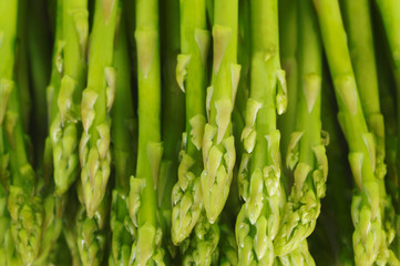 Wall Mural - Fresh asparagus